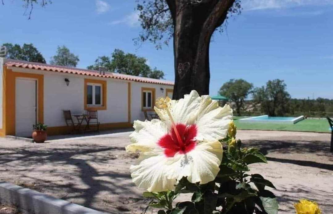 Monte Argil Montargil Exterior foto